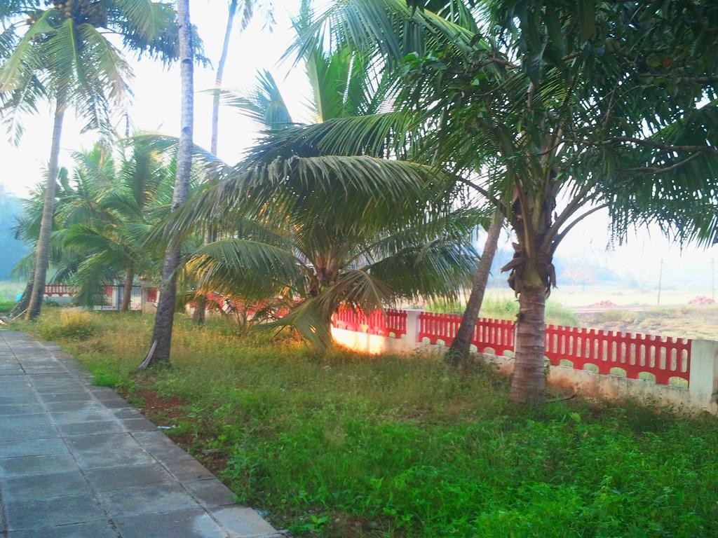 Quarto De Casa Tipri Saligao Eksteriør bilde